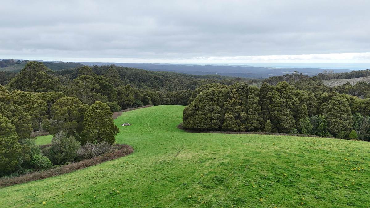 5225 Colac-Lavers Hill Road, Lavers Hill For Sale by Farmbuy.com - image 4