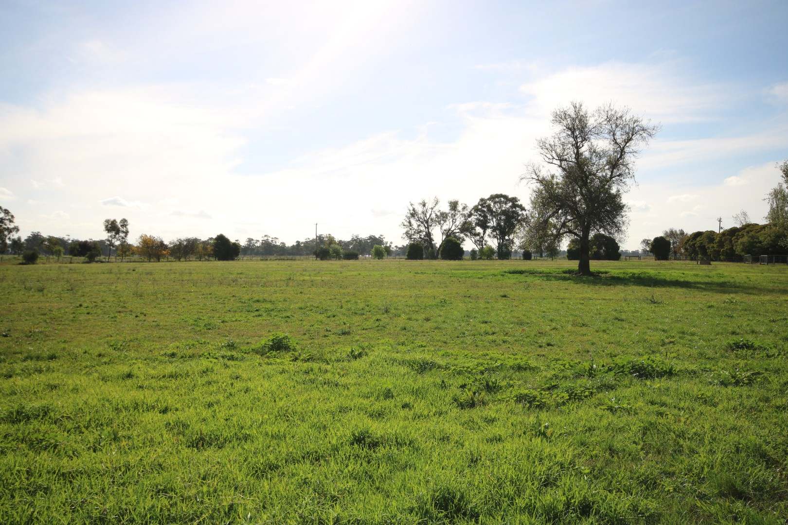 175 Andrews Road, Merrigum For Sale by Farmbuy.com - image 29