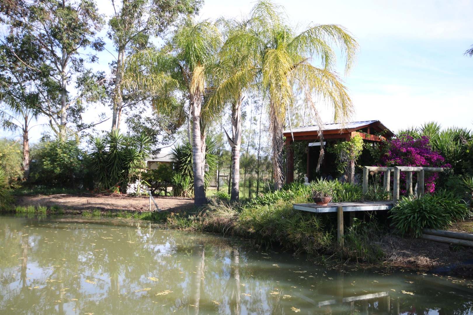 175 Andrews Road, Merrigum For Sale by Farmbuy.com - image 23