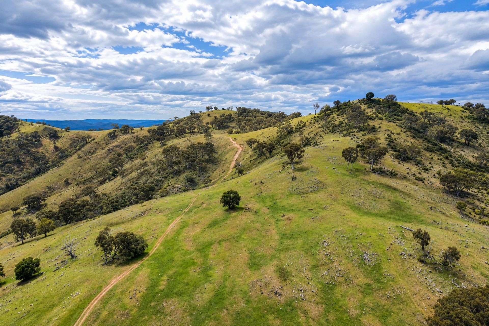 2096 Hill End Road, Mudgee For Sale by Farmbuy.com - image 11