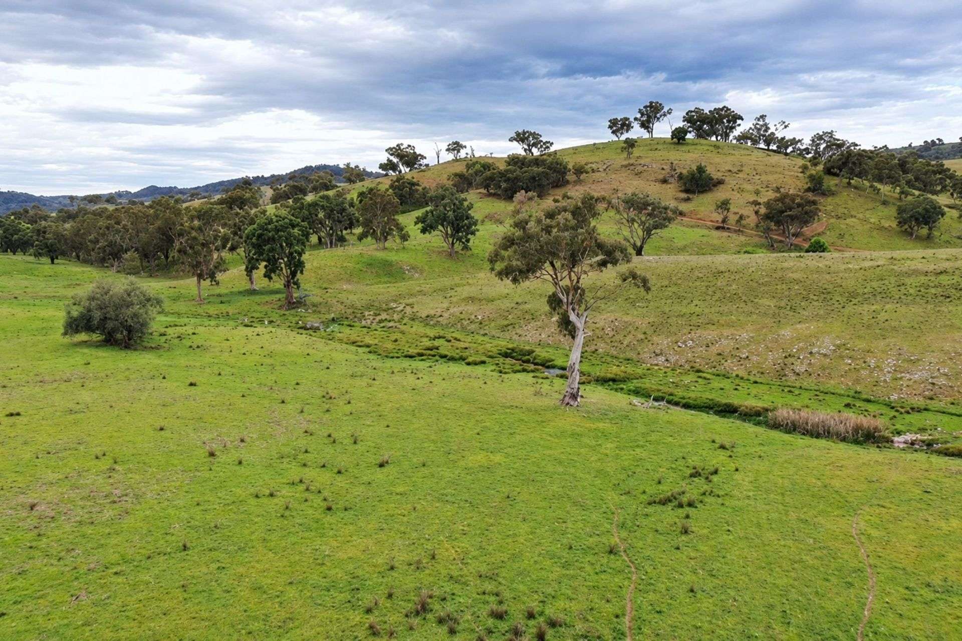 2096 Hill End Road, Mudgee For Sale by Farmbuy.com - image 17