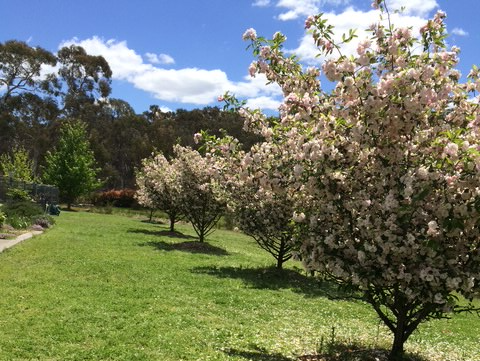 420 Mulwaree Drive, Tallong For Sale by Farmbuy.com - image 21