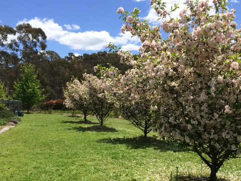 420 Mulwaree Drive, Tallong For Sale by Farmbuy.com - image 27