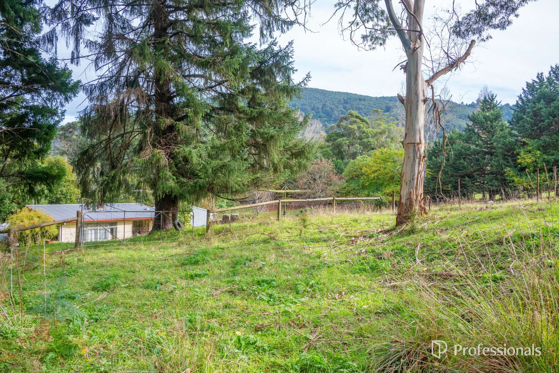 1605 Don Road, Don Valley For Sale by Farmbuy.com - image 32