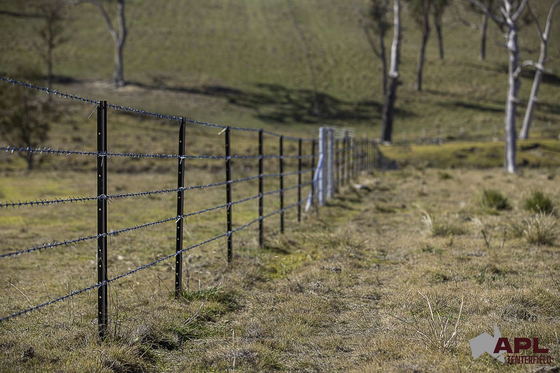 8654A New England Highway, Tenterfield For Sale by Farmbuy.com - image 17