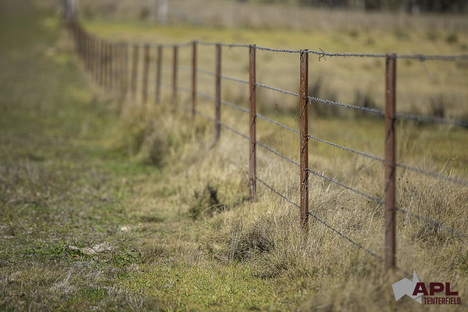 8654A New England Highway, Tenterfield For Sale by Farmbuy.com - image 19