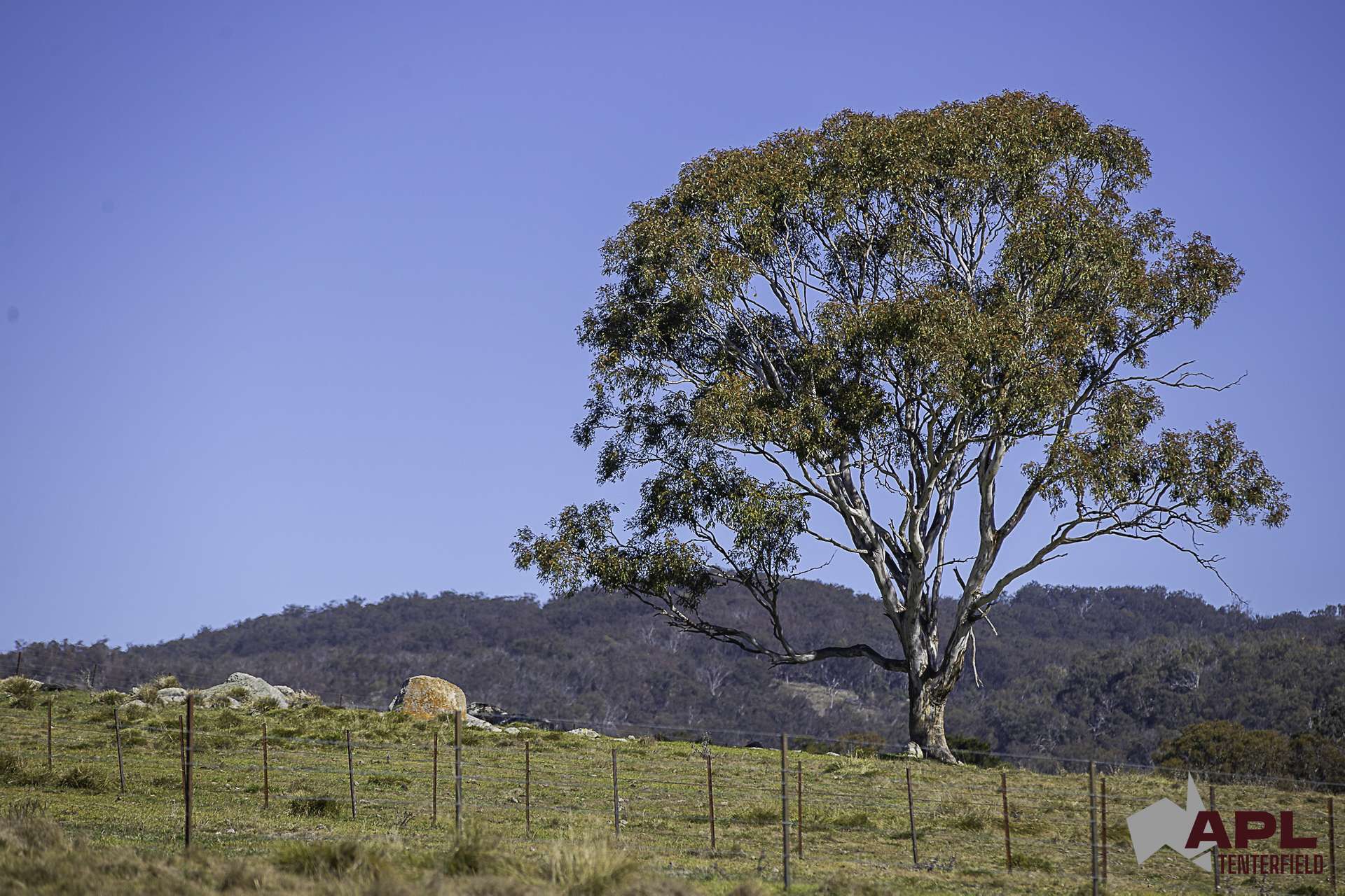 8654A New England Highway, Tenterfield For Sale by Farmbuy.com - image 18