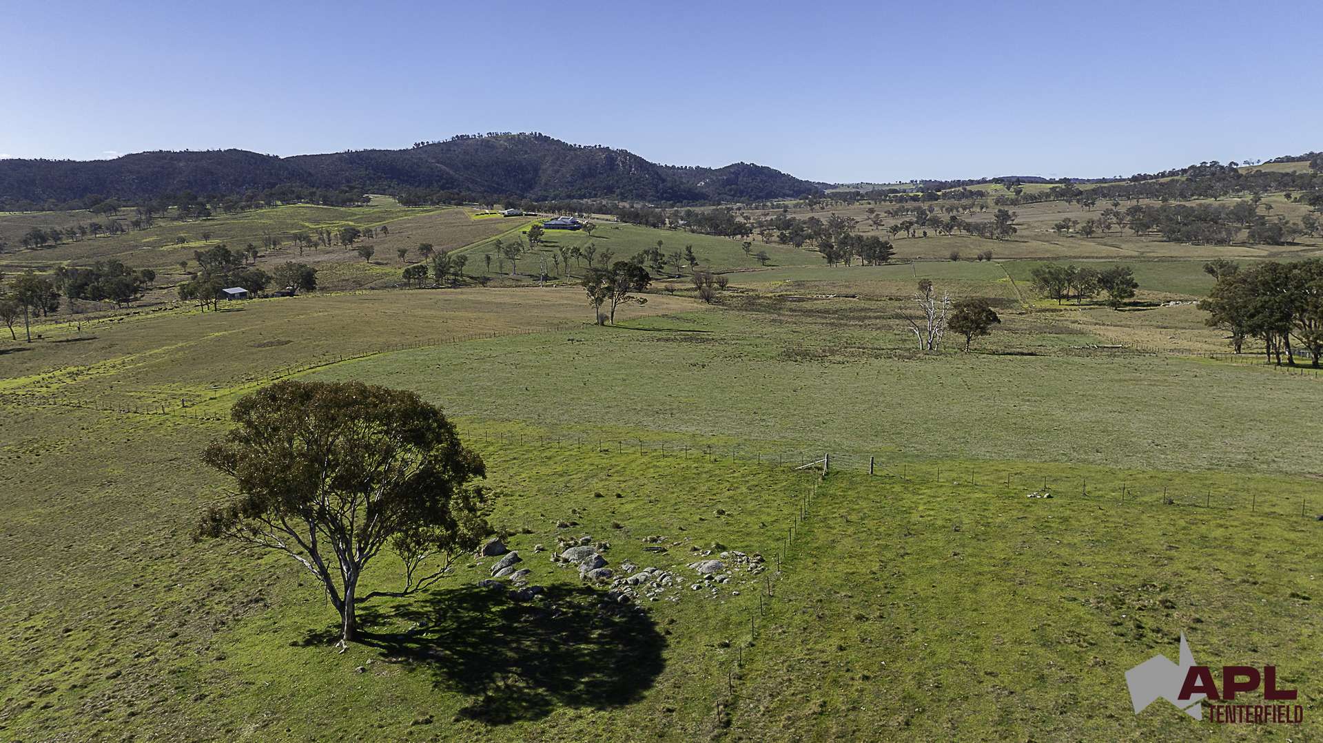 8654A New England Highway, Tenterfield For Sale by Farmbuy.com - image 13