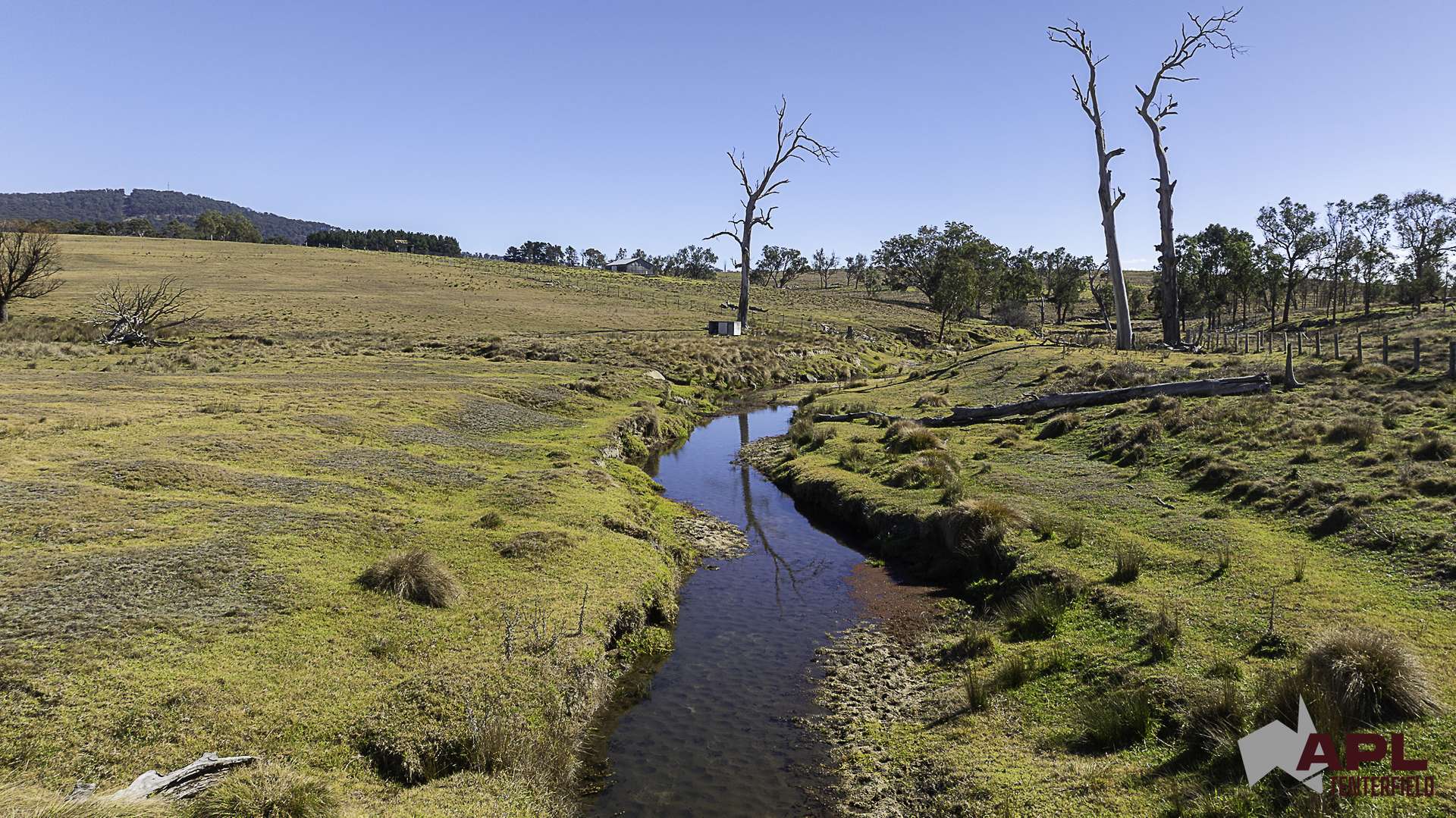 8654A New England Highway, Tenterfield For Sale by Farmbuy.com - image 7