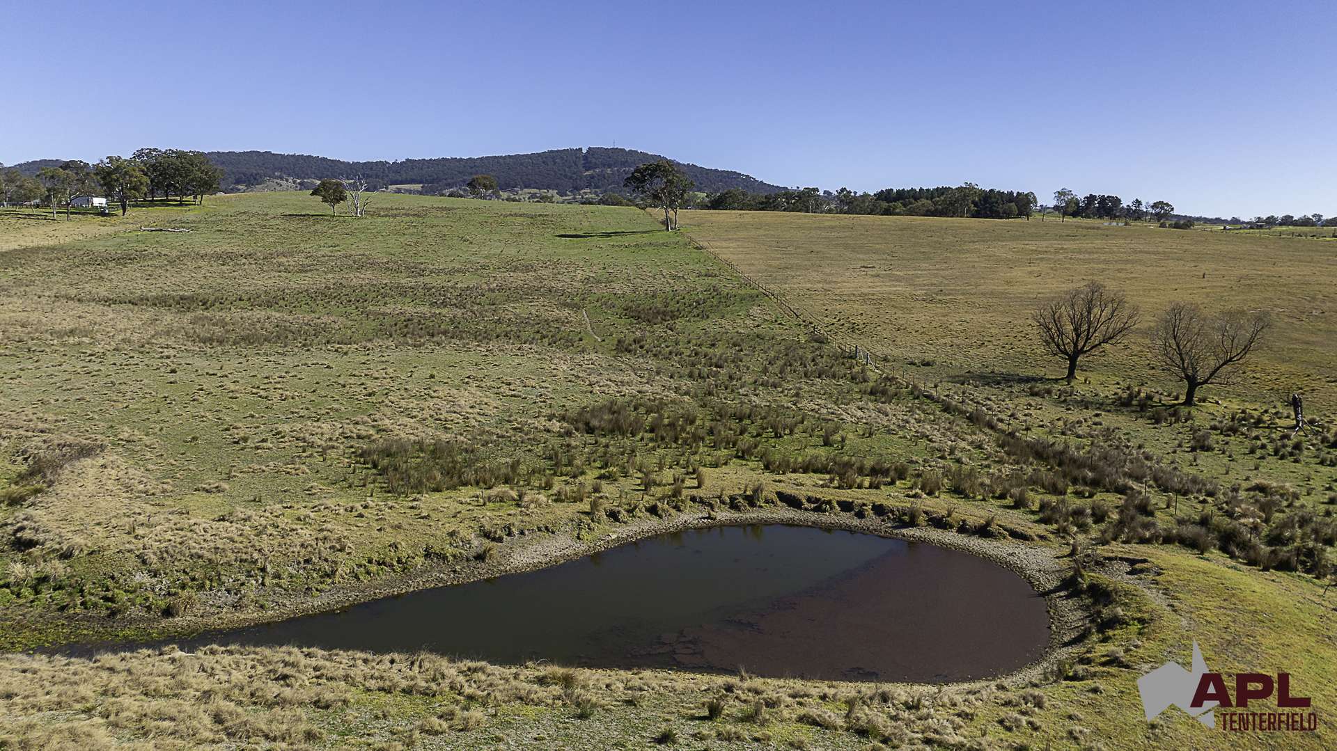 8654A New England Highway, Tenterfield For Sale by Farmbuy.com - image 9