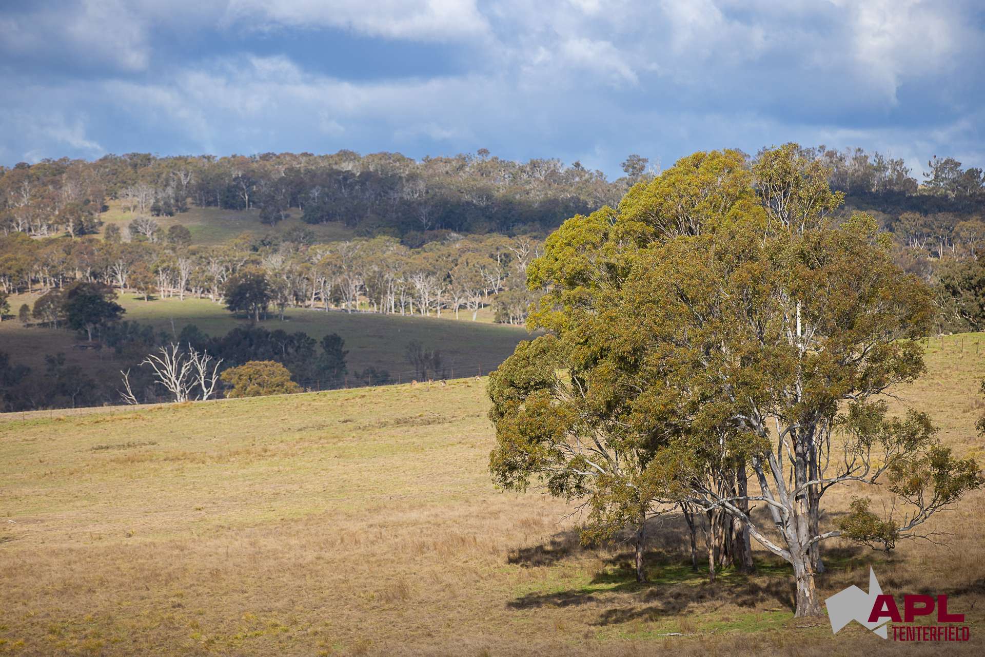 8654A New England Highway, Tenterfield For Sale by Farmbuy.com - image 8