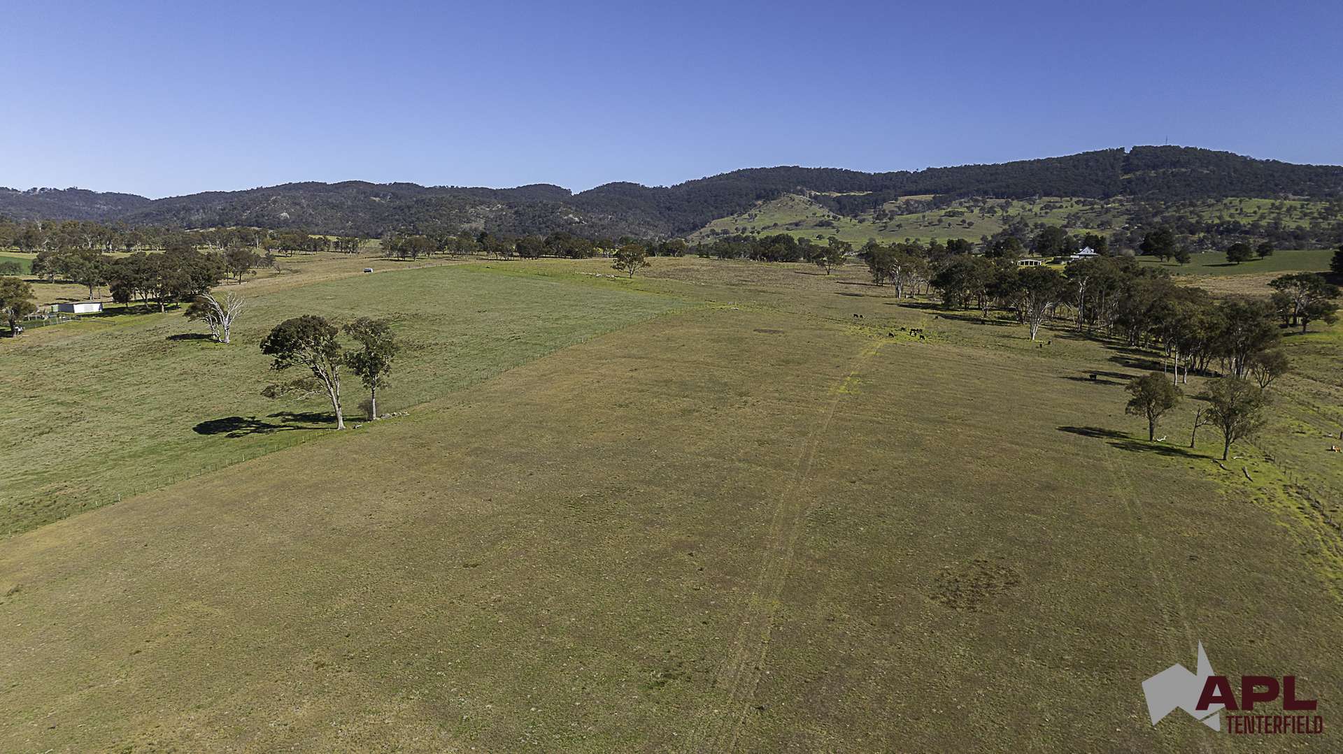 8654A New England Highway, Tenterfield For Sale by Farmbuy.com - image 10