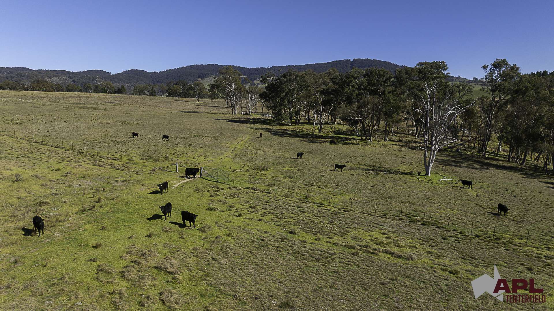 8654A New England Highway, Tenterfield For Sale by Farmbuy.com - image 11