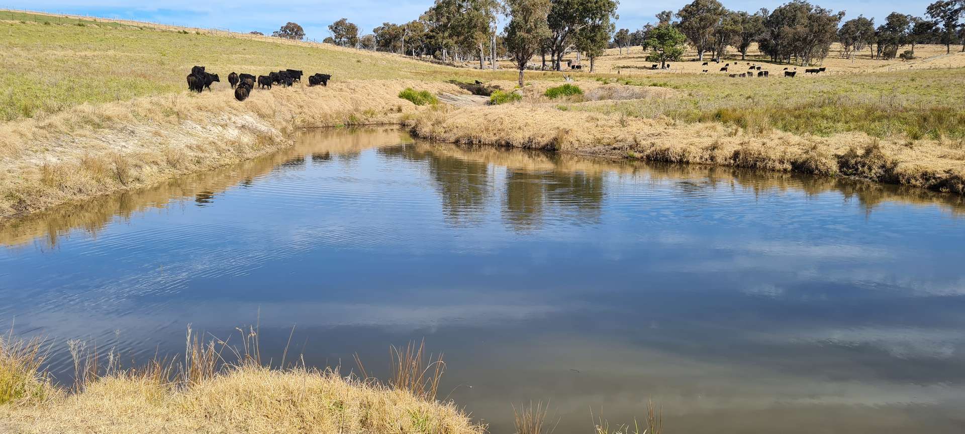 8654A New England Highway, Tenterfield For Sale by Farmbuy.com - image 4