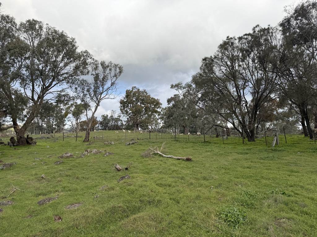 219 Sugar Loaf Hill Road, Mount McKenzie SA 5353