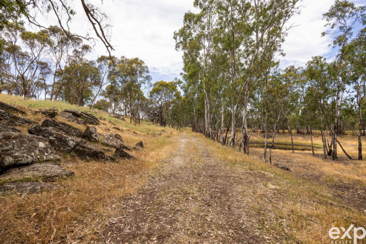 219 Sugar Loaf Hill Road, Mount McKenzie For Sale by Farmbuy.com - image 8