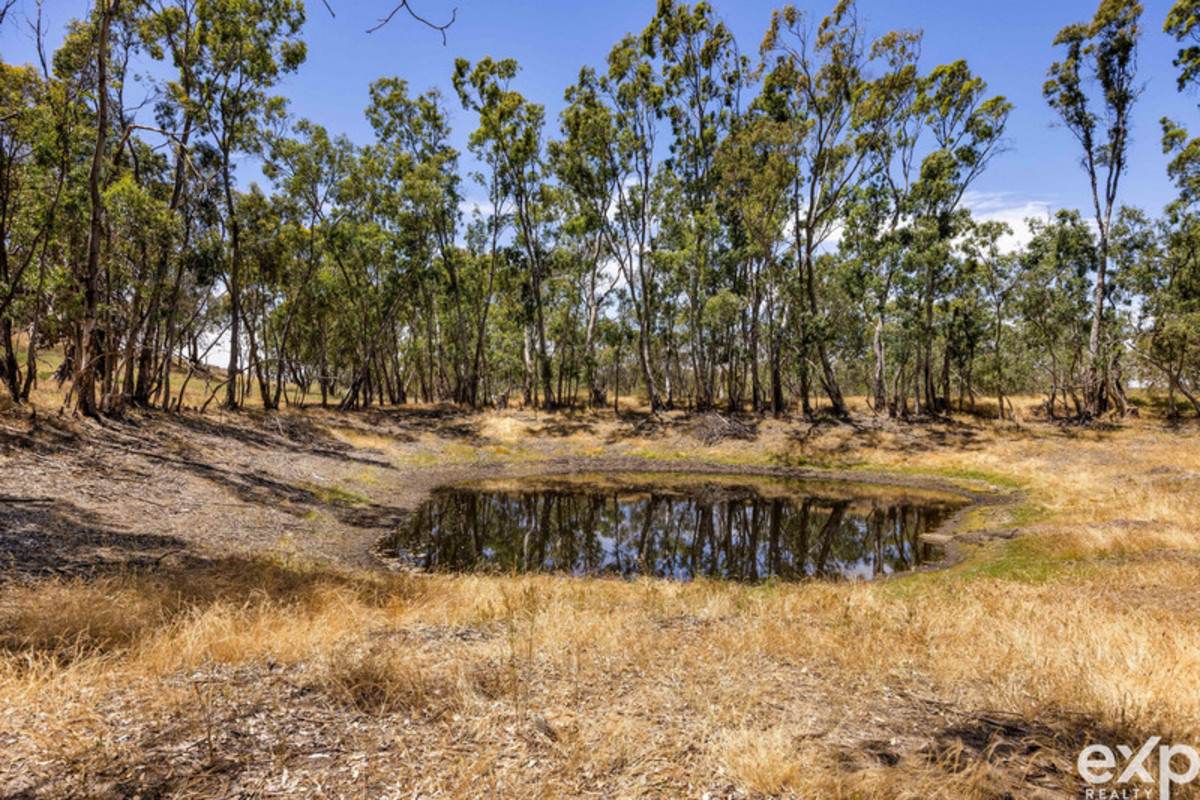 219 Sugar Loaf Hill Road, Mount McKenzie For Sale by Farmbuy.com - image 15