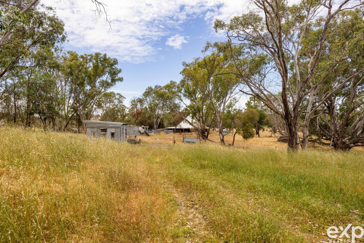 219 Sugar Loaf Hill Road, Mount McKenzie For Sale by Farmbuy.com - image 3