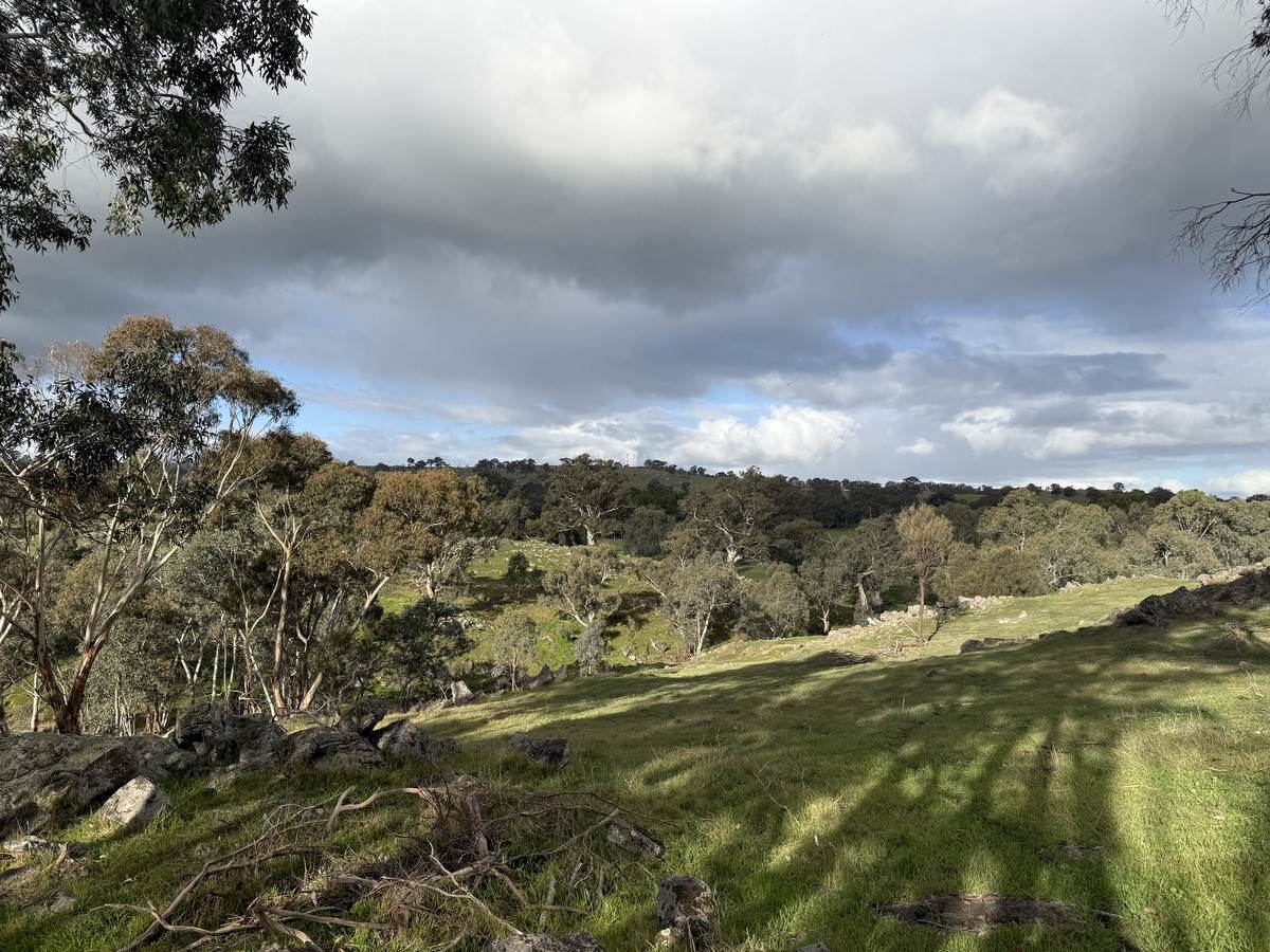 219 Sugar Loaf Hill Road, Mount McKenzie For Sale by Farmbuy.com - image 9