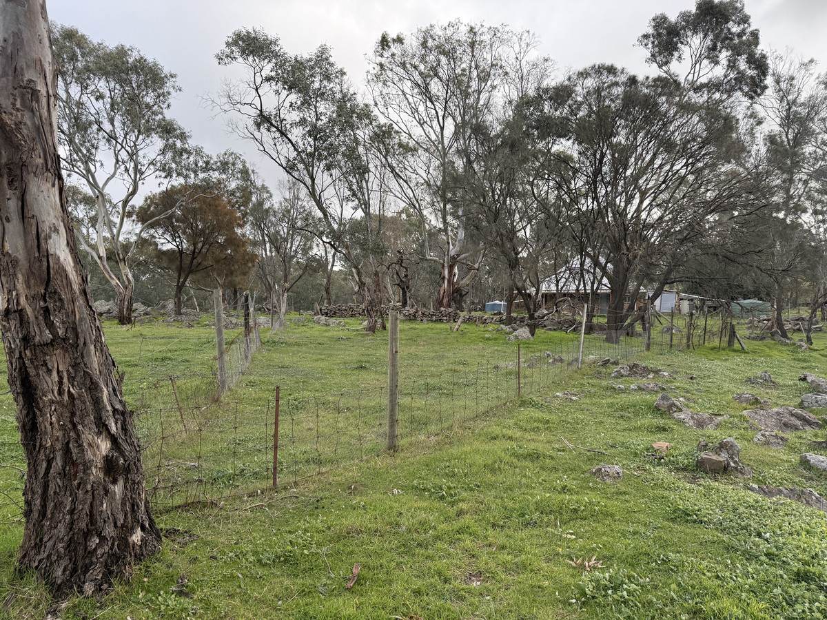 219 Sugar Loaf Hill Road, Mount McKenzie For Sale by Farmbuy.com - image 15