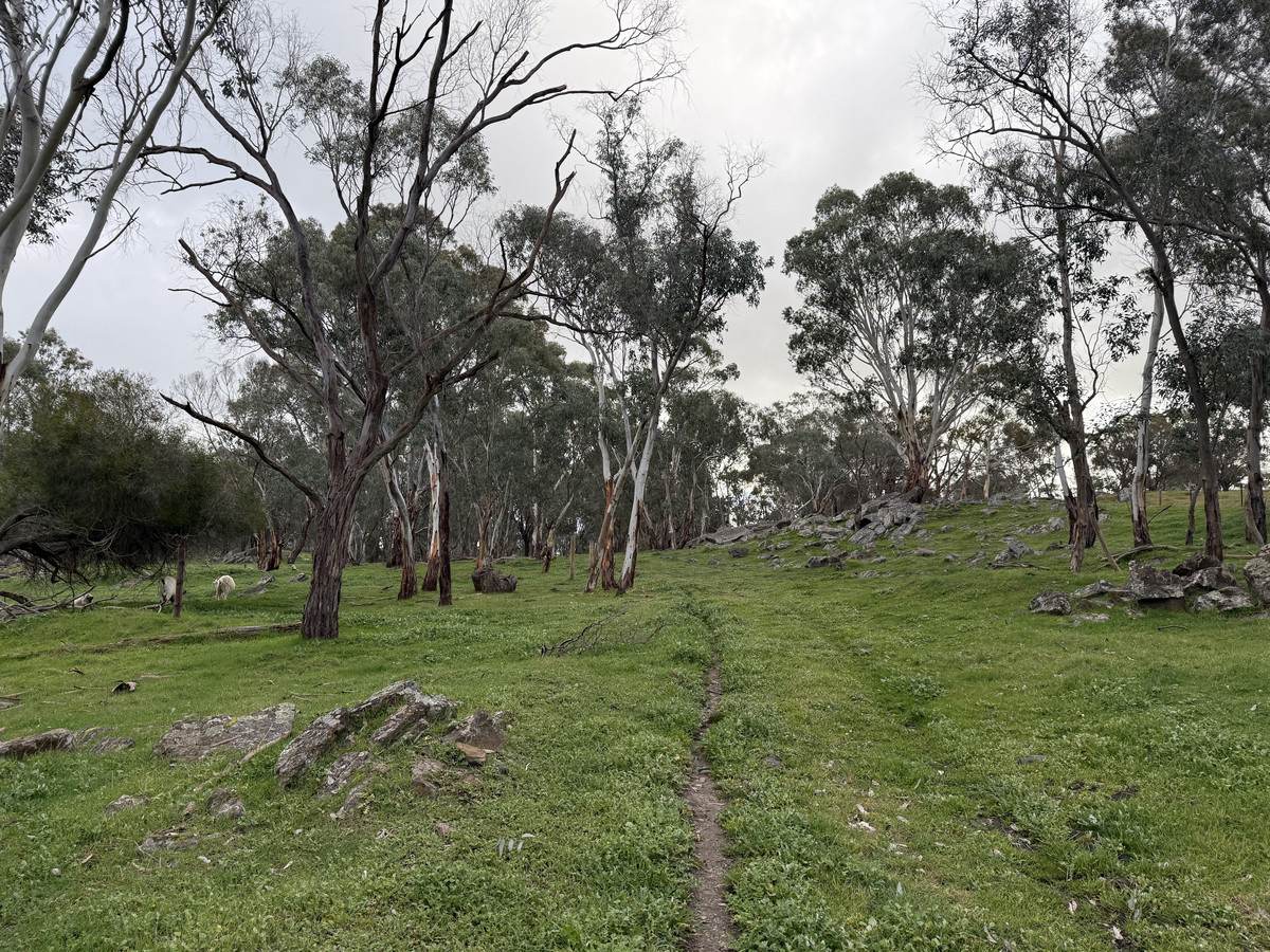 219 Sugar Loaf Hill Road, Mount McKenzie For Sale by Farmbuy.com - image 17