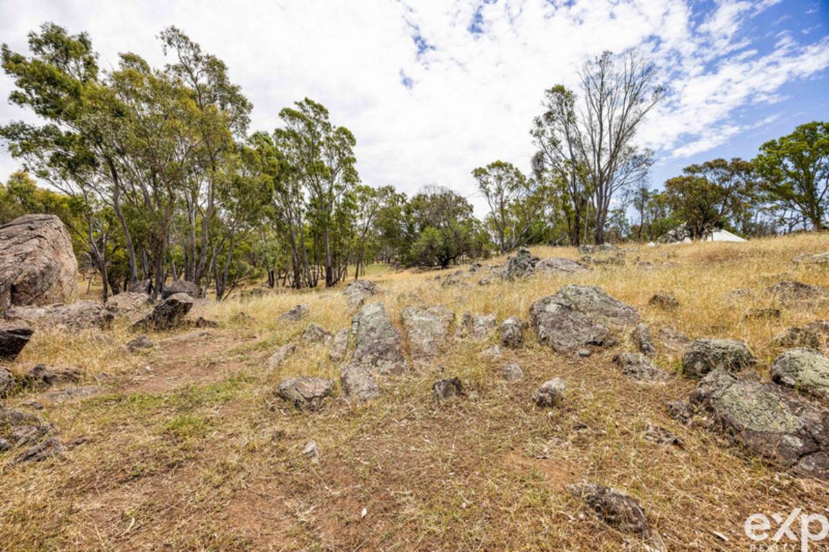 219 Sugar Loaf Hill Road, Mount McKenzie For Sale by Farmbuy.com - image 12