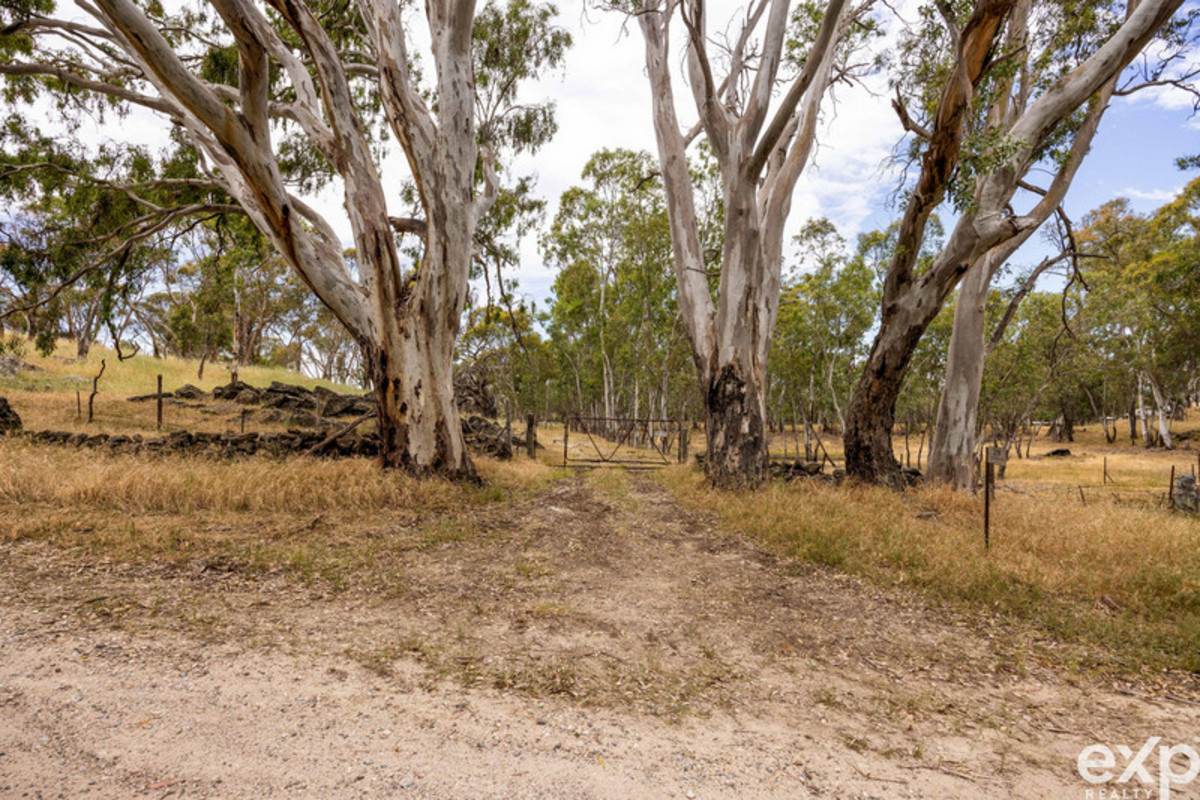 219 Sugar Loaf Hill Road, Mount McKenzie For Sale by Farmbuy.com - image 7