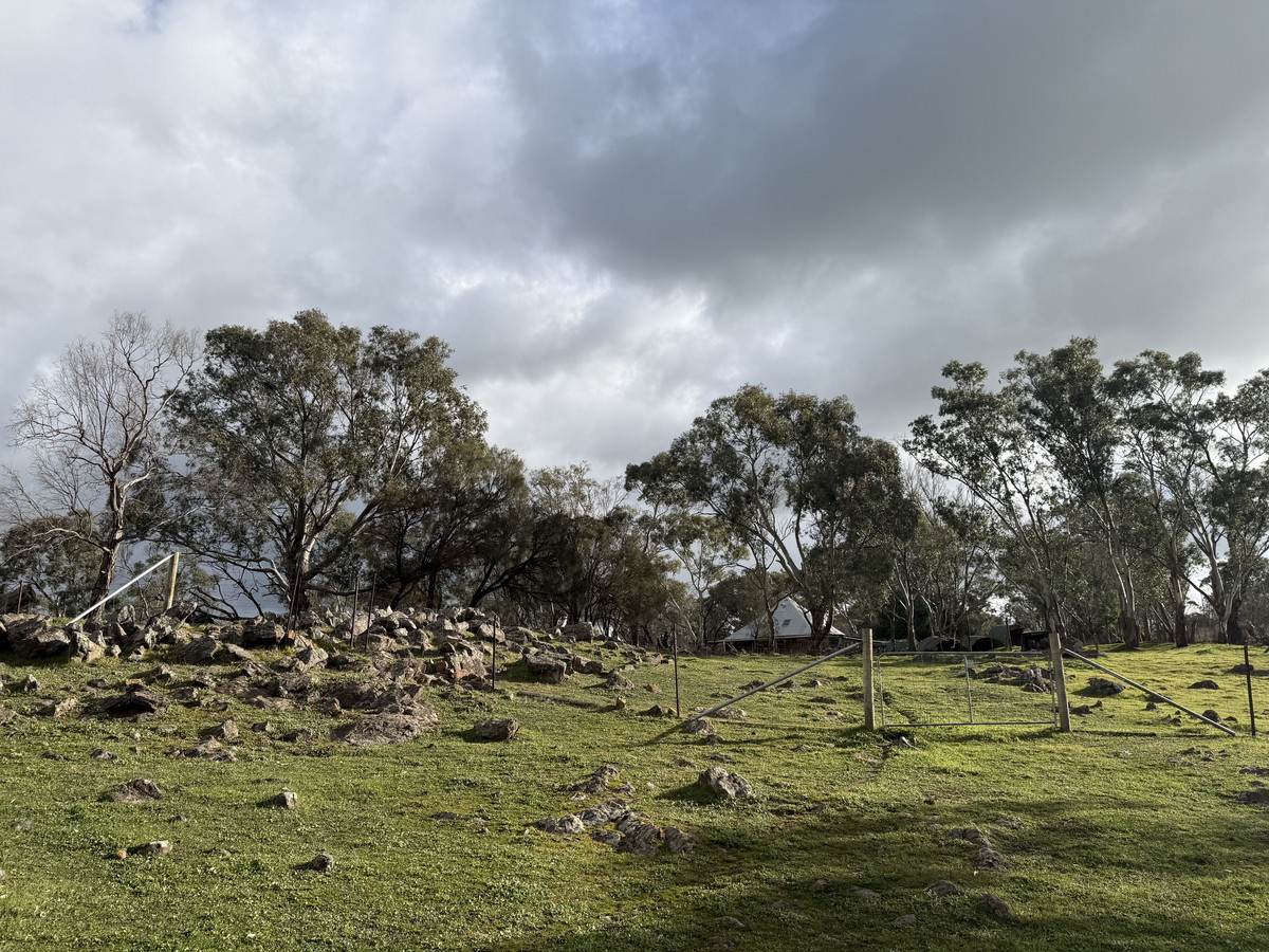 219 Sugar Loaf Hill Road, Mount McKenzie For Sale by Farmbuy.com - image 8