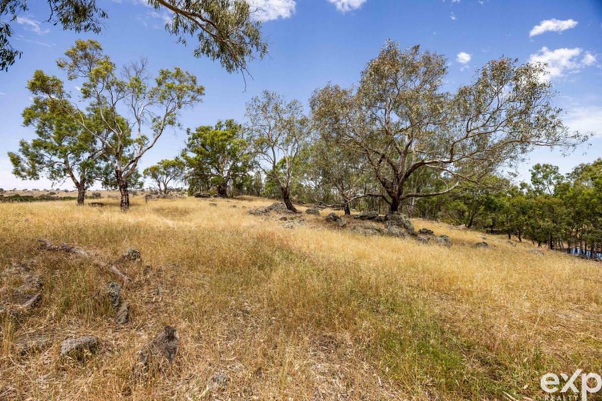 219 Sugar Loaf Hill Road, Mount McKenzie For Sale by Farmbuy.com - image 10