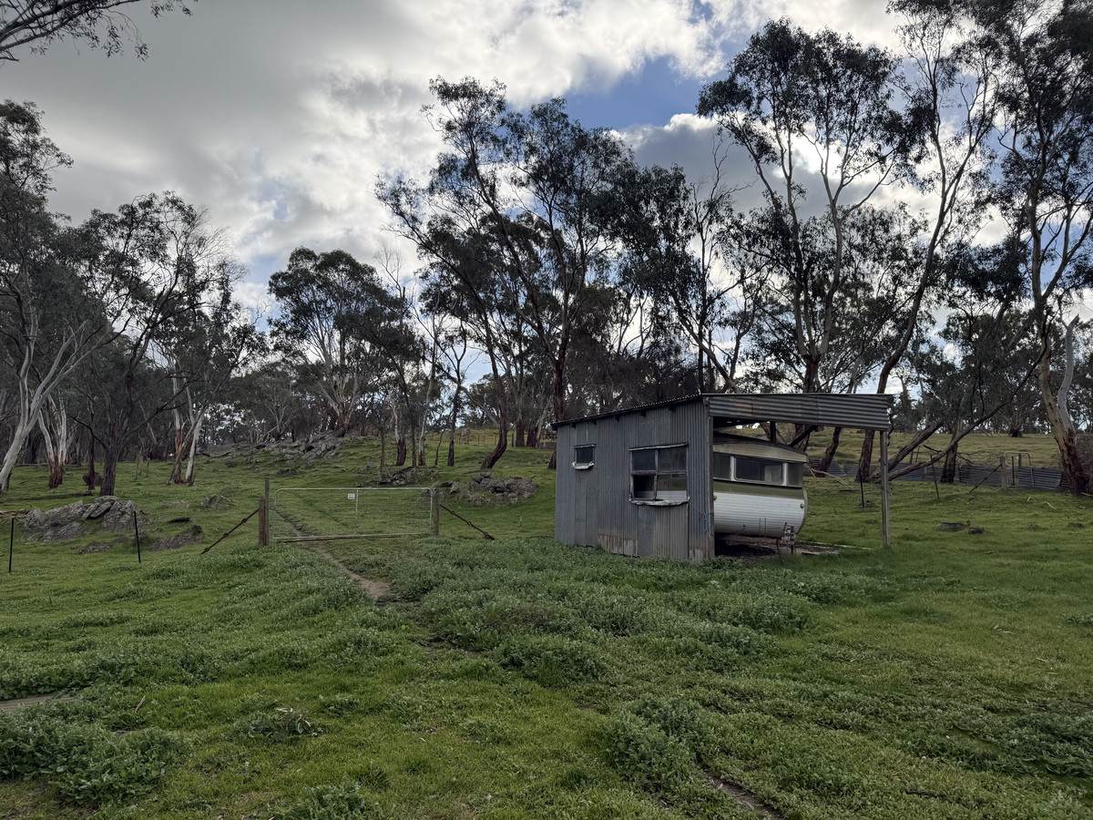 219 Sugar Loaf Hill Road, Mount McKenzie For Sale by Farmbuy.com - image 3