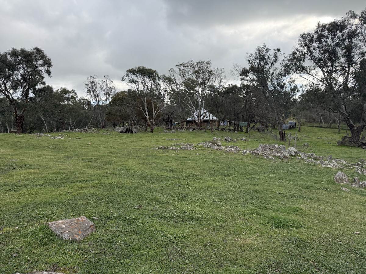 219 Sugar Loaf Hill Road, Mount McKenzie For Sale by Farmbuy.com - image 12