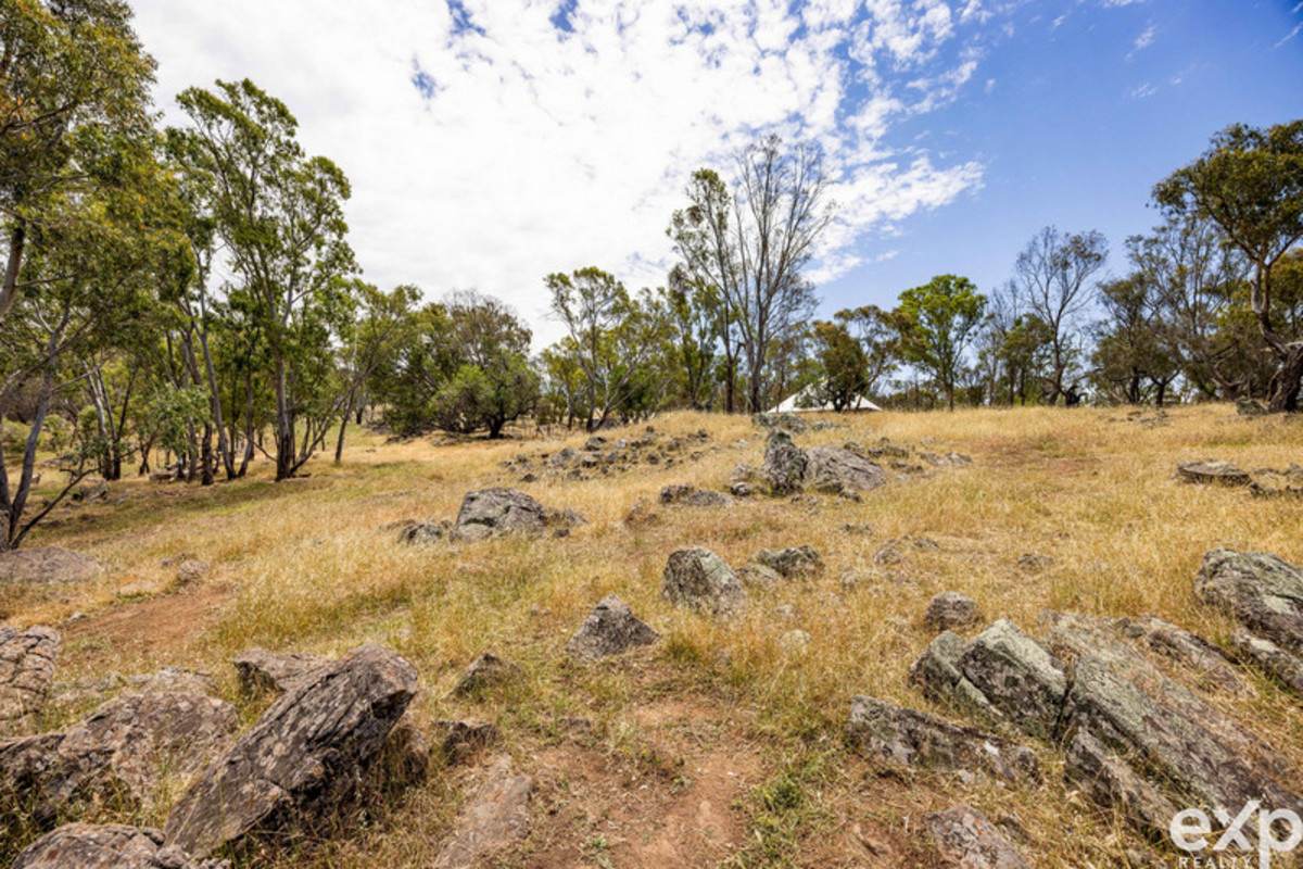 219 Sugar Loaf Hill Road, Mount McKenzie For Sale by Farmbuy.com - image 11