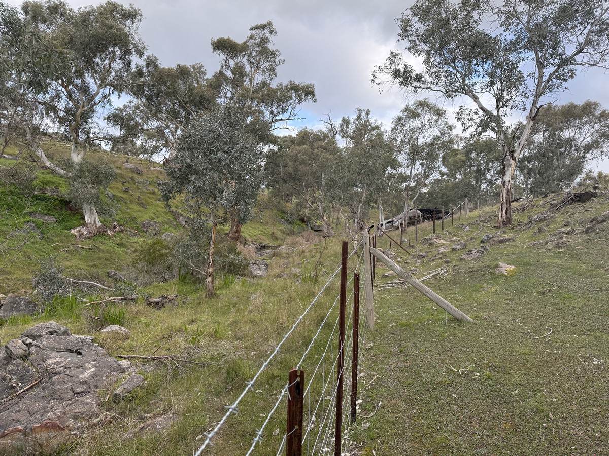 219 Sugar Loaf Hill Road, Mount McKenzie For Sale by Farmbuy.com - image 10