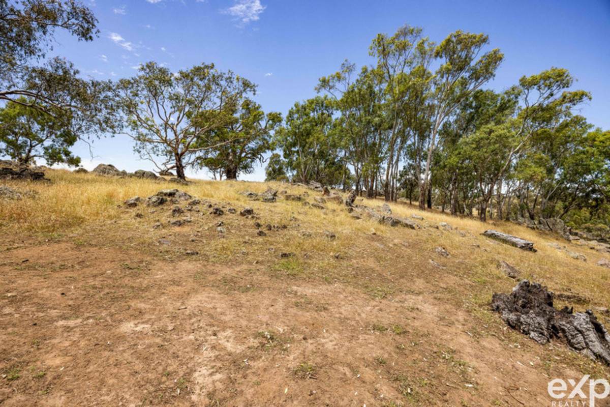 219 Sugar Loaf Hill Road, Mount McKenzie For Sale by Farmbuy.com - image 13