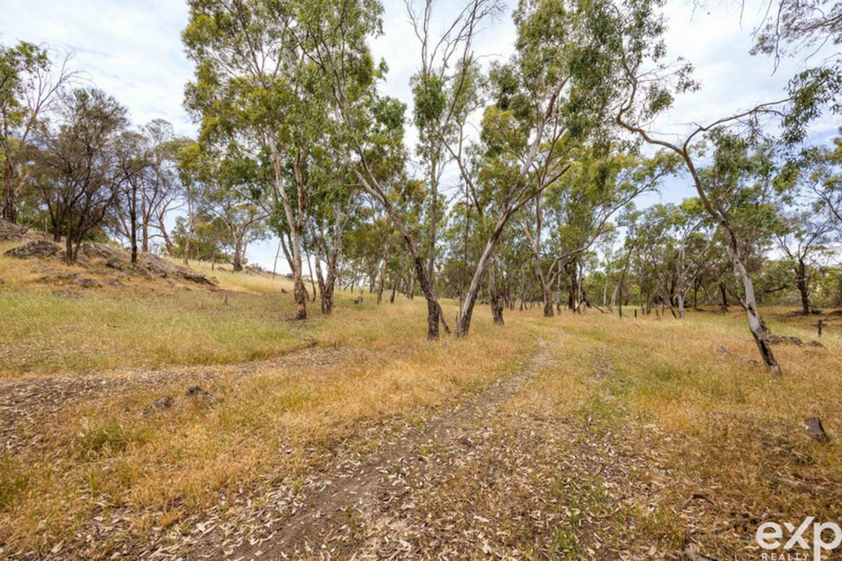 219 Sugar Loaf Hill Road, Mount McKenzie For Sale by Farmbuy.com - image 9