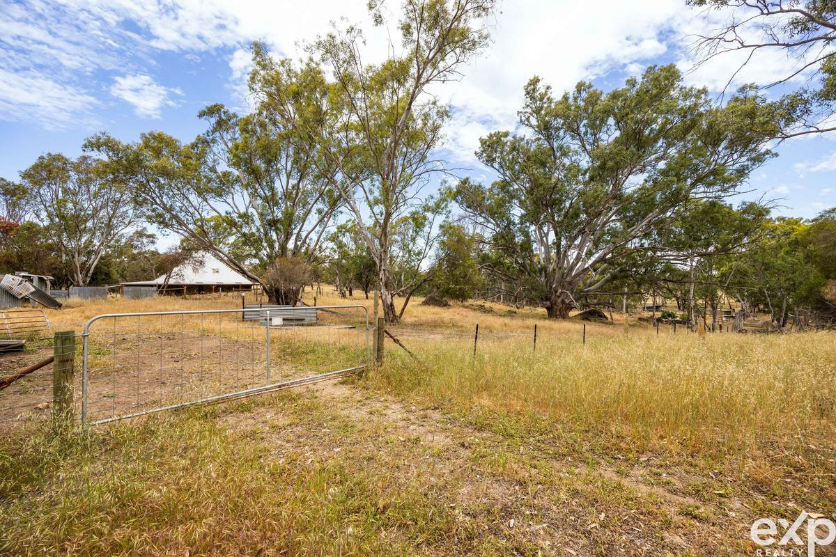 219 Sugar Loaf Hill Road, Mount McKenzie For Sale by Farmbuy.com - image 2