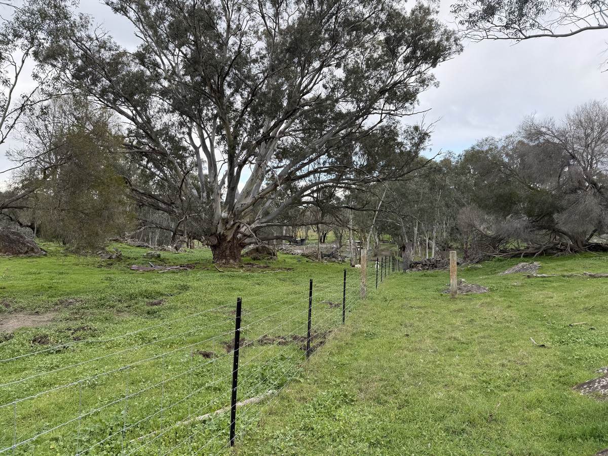 219 Sugar Loaf Hill Road, Mount McKenzie For Sale by Farmbuy.com - image 16