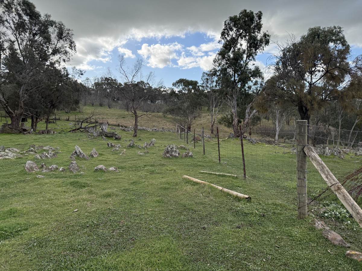 219 Sugar Loaf Hill Road, Mount McKenzie For Sale by Farmbuy.com - image 13