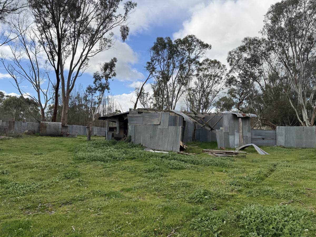 219 Sugar Loaf Hill Road, Mount McKenzie For Sale by Farmbuy.com - image 4