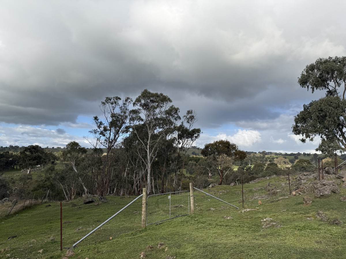 219 Sugar Loaf Hill Road, Mount McKenzie For Sale by Farmbuy.com - image 6