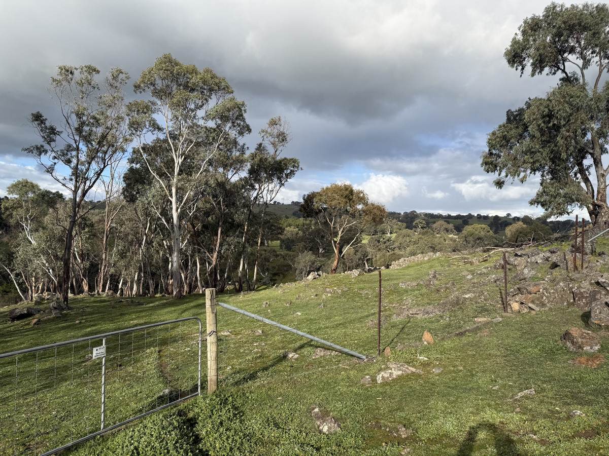 219 Sugar Loaf Hill Road, Mount McKenzie For Sale by Farmbuy.com - image 7