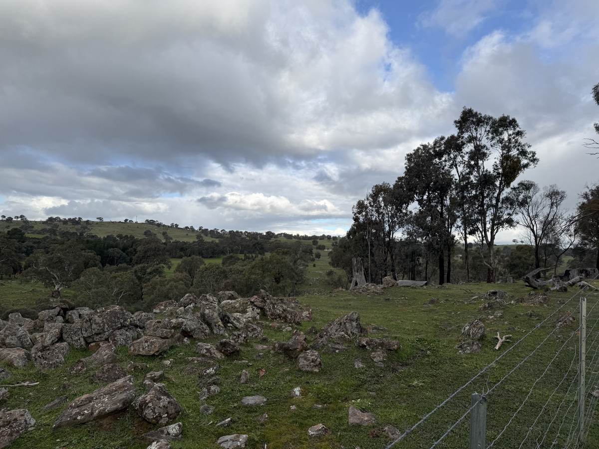 219 Sugar Loaf Hill Road, Mount McKenzie For Sale by Farmbuy.com - image 14