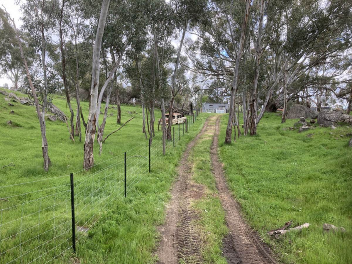 219 Sugar Loaf Hill Road, Mount McKenzie For Sale by Farmbuy.com - image 6