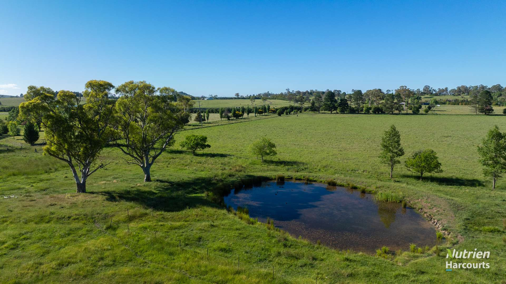 40 Roseneath Lane, Armidale For Sale by Farmbuy.com - image 10