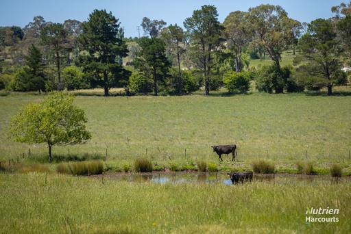 40 Roseneath Lane, Armidale NSW 2350