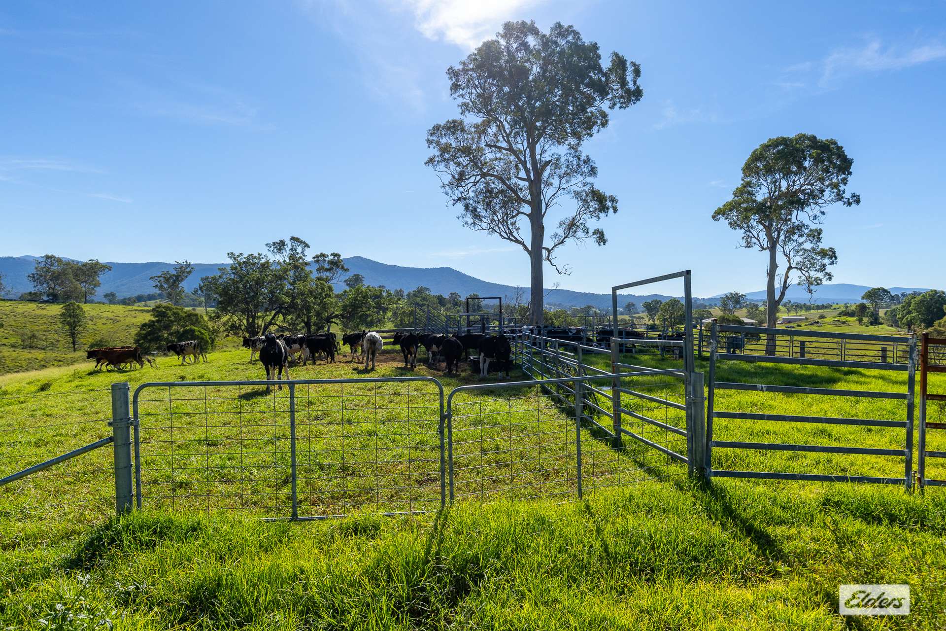 1596 Snowy Mountains Highway, Morans Crossing For Sale by Farmbuy.com - image 7