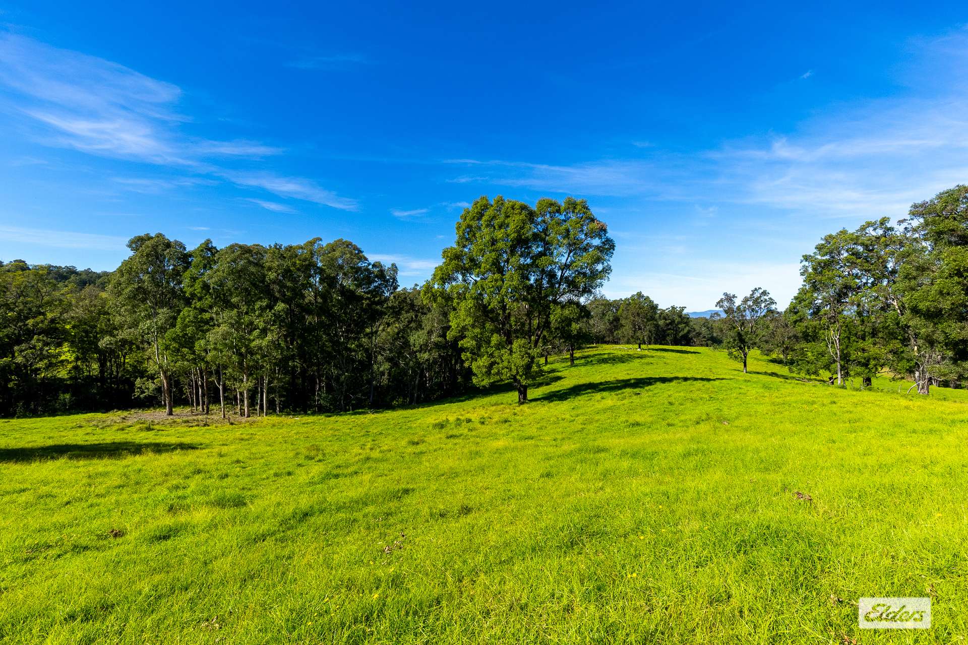 1596 Snowy Mountains Highway, Morans Crossing For Sale by Farmbuy.com - image 8
