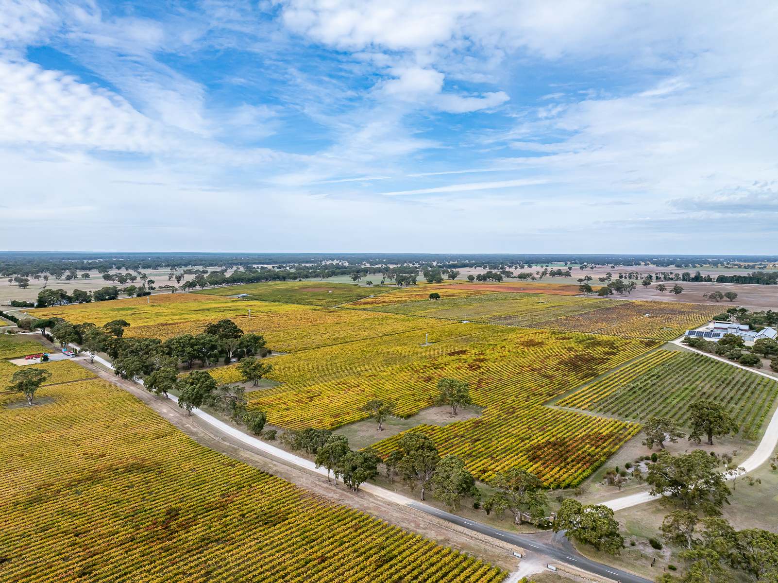 182 Mclean Road, Coonawarra For Sale by Farmbuy.com - image 2