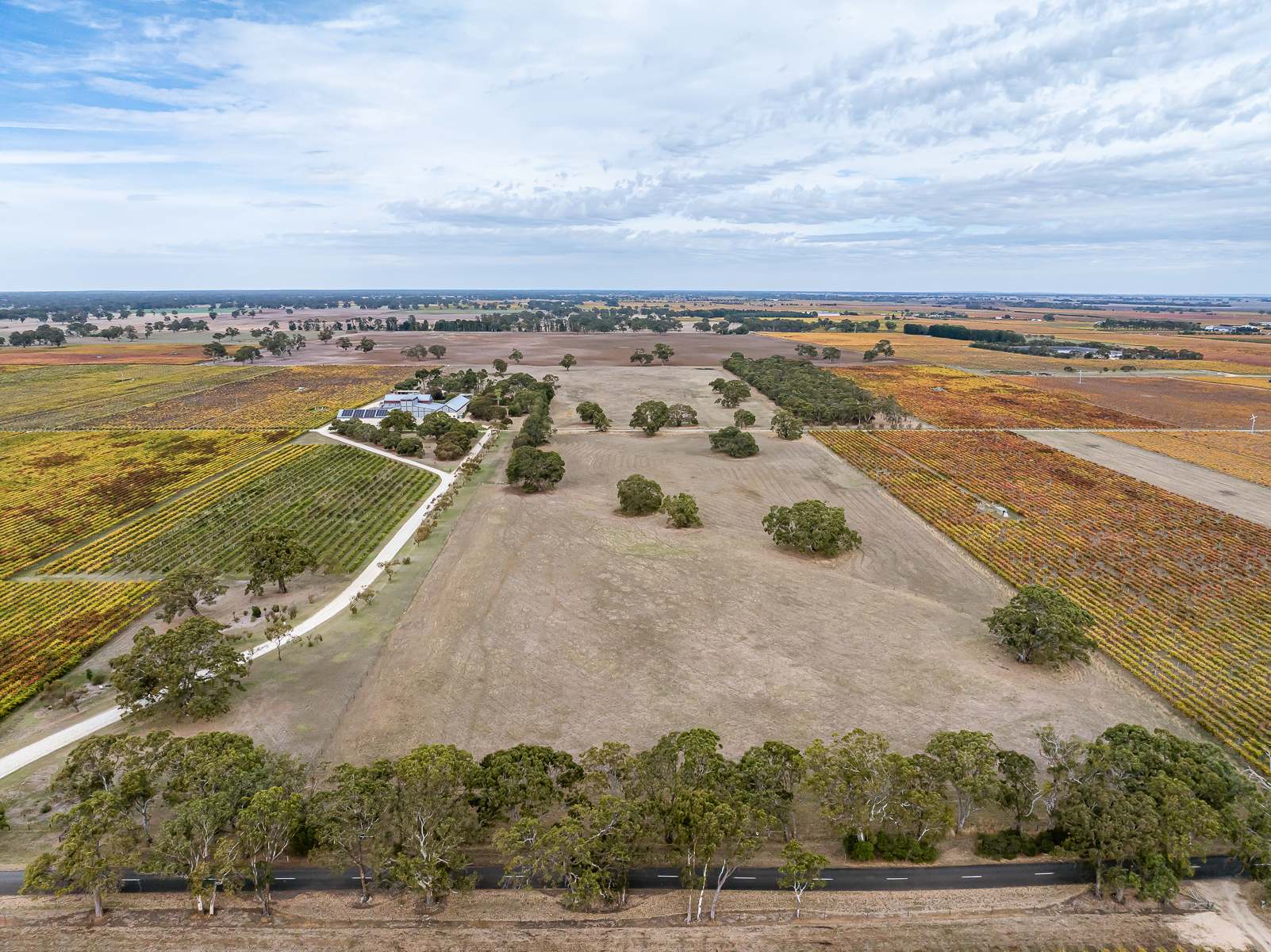 182 Mclean Road, Coonawarra For Sale by Farmbuy.com - image 3