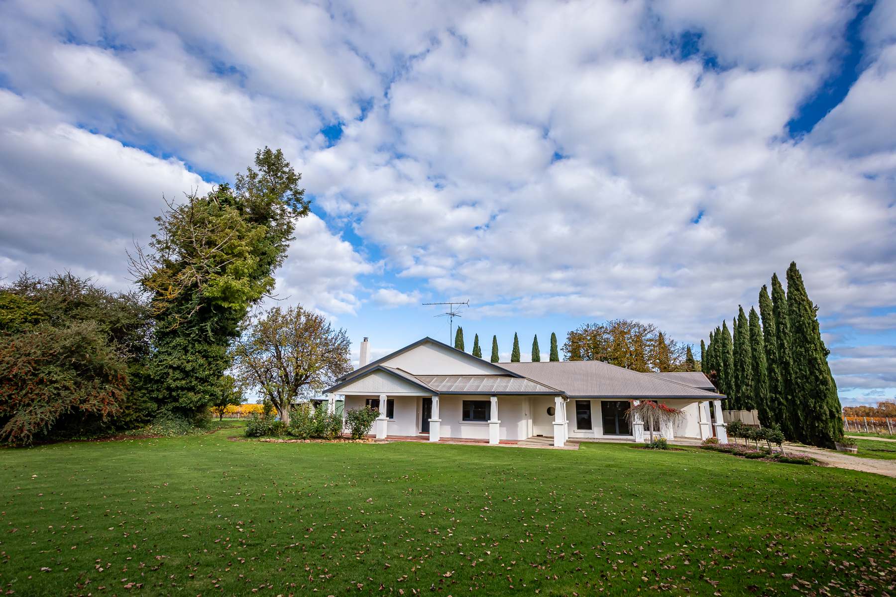 91 Maaoupe Road, Penola For Sale by Farmbuy.com - image 5